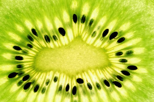 Sheet of kiwi, fresh fruit healthy snack.