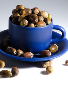 Lot of acorns around and in blue mug with small plate.