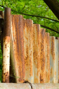 Rusty iron fence, blur trees and plats as background. 