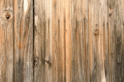 Vertical old wooden planks with nails background. 
