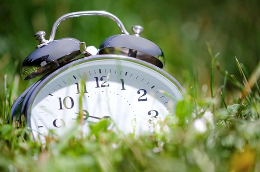 Old metal alarm clock among grass and flowers. 