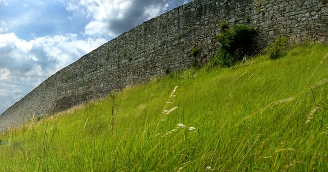 Castle wall and plant and grass in the front.