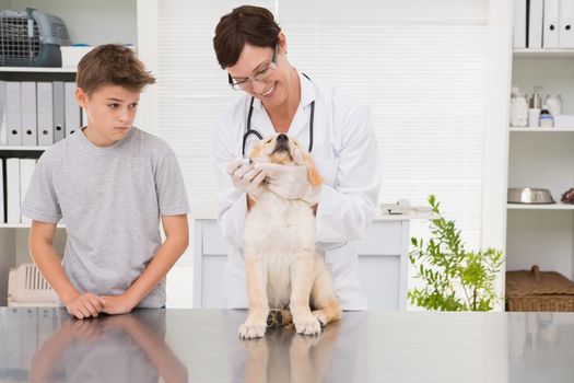 Smiling vet examining a dog with its owner in medical office