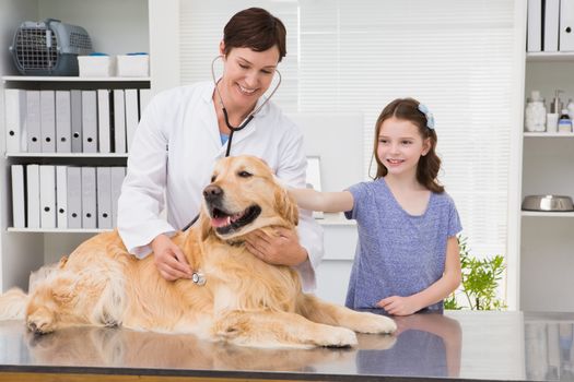 Smiling vet examining a dog with its owner in medical office