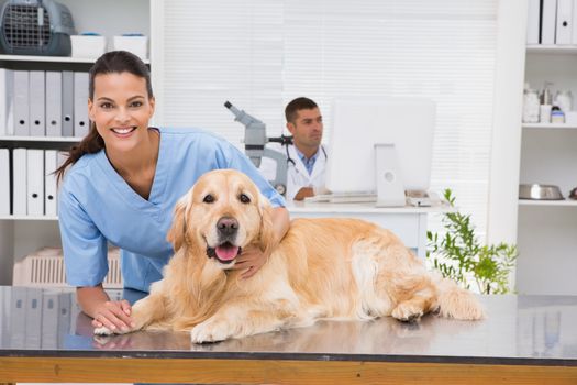 Smiling vet examining a dog in medical office