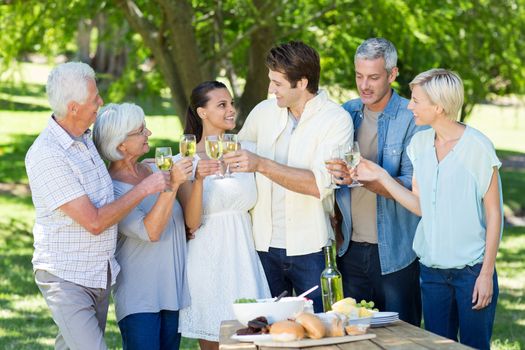 Happy couple toasting in the park on a sunny day