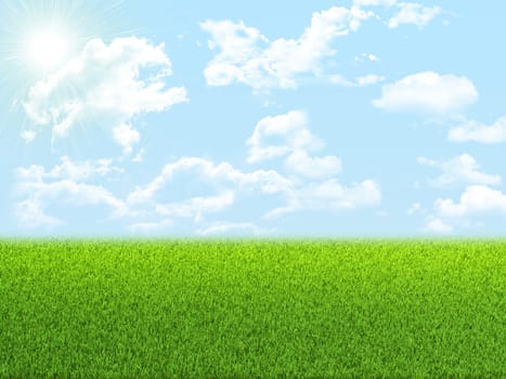 Green nature field with blue sky. Nature background