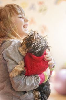 Girl child playing with a puppy Yorkshire Terrier