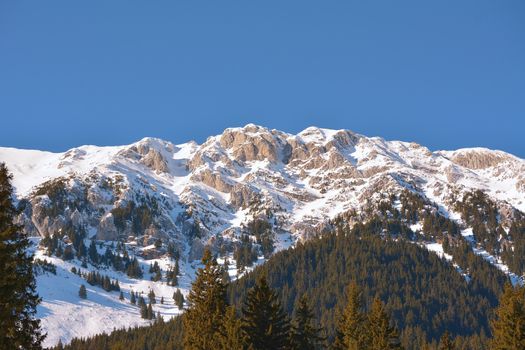 Alpine landscape Piatra Craiului mountains.