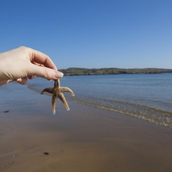 Hold holding a Starfish on a beach