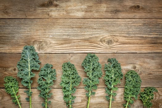 green kale leaves on a rustic wood with a copy space