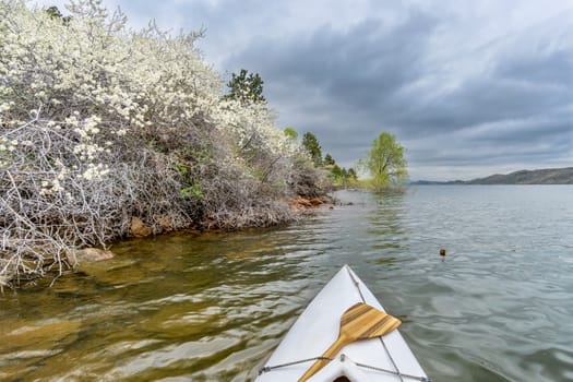 canoa bow with a wooden paddle on Horsetooth Rerservoir, springtime scenry with blooming bushes