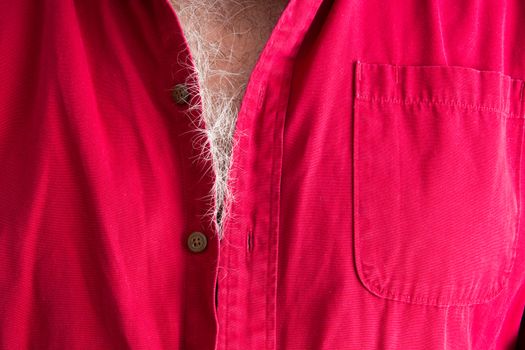 Signs of aging - grey hairs on a male chest in a close up view peeking out of the collar of his red shirt, unrecognizable