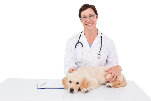 Smiling veterinarian examining a cute dog on white background 