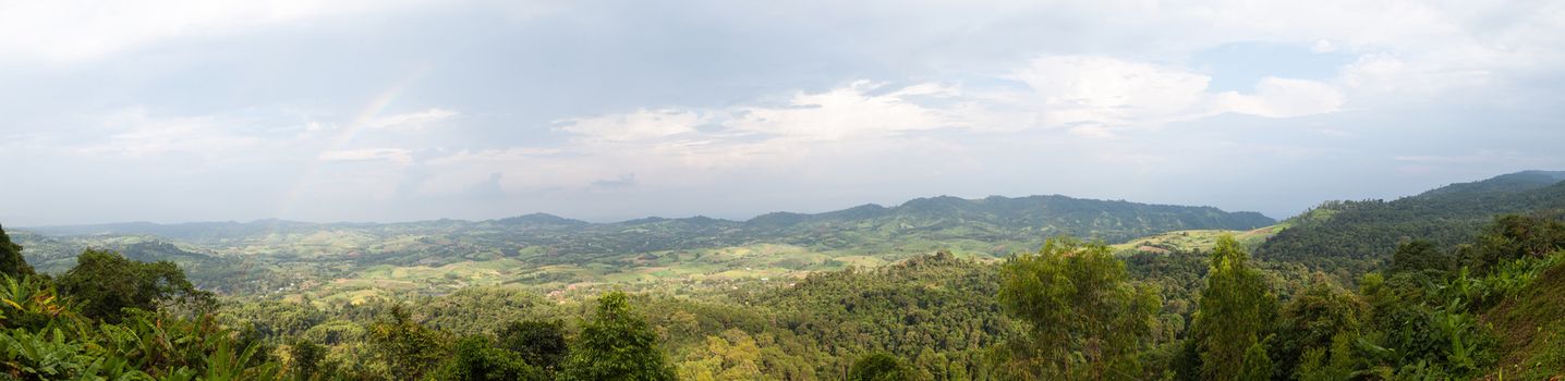 panorama mountain and forest cloudy sky. park area in a forest.forest in thailand.