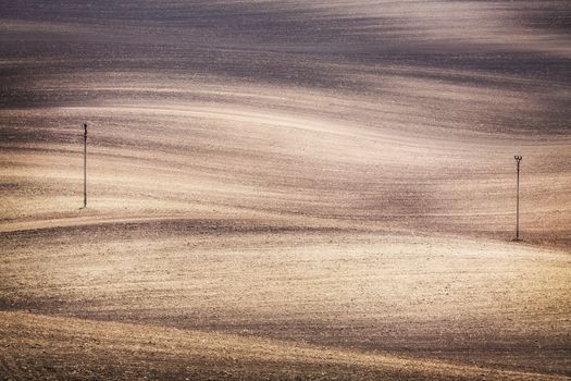 Grunge field waves background, South Moravia, Czech Republic