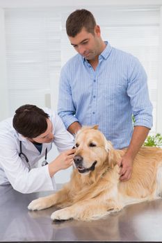 Veterinarian examining a dog with its owner in medical office 