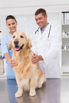Vet coworker examining dog in medical office