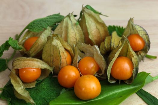 Macro photograph of Physalis peruviana.