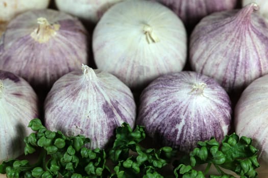 Different cloves of solo garlic. 