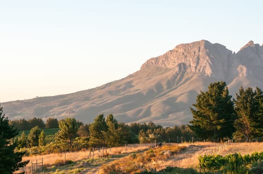 Helderberg (Clear Mountain) near Somerset West in the setting sun