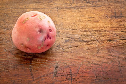 red potato on rustic grunge wood with a copy space