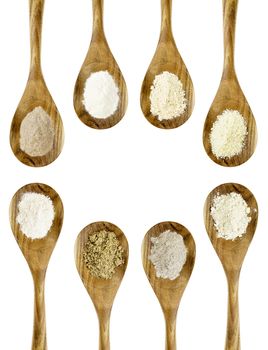 gluten free flours  set (almond, coconut, flax meal, brown rice, quinoa, teff, potato, buckwheat) - top view of isolated wooden spoons with a copy space