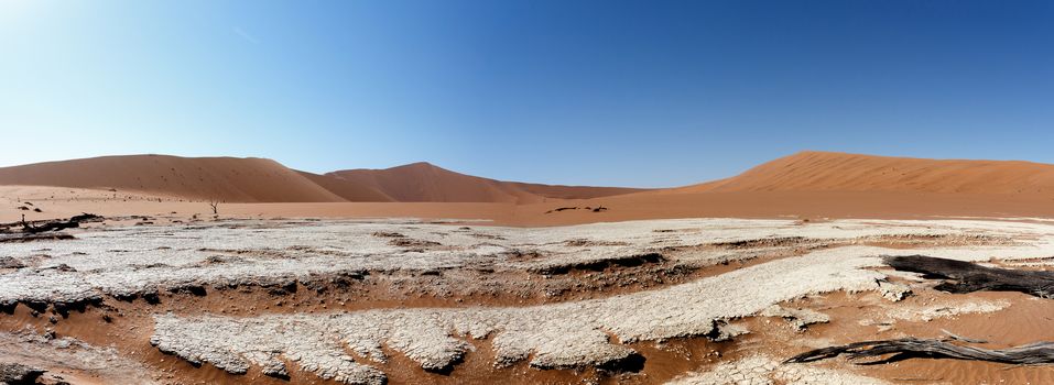 wide panorama of beautiful sunrise landscape of hidden Dead Vlei in Namib, blue sky, best place of Namibia