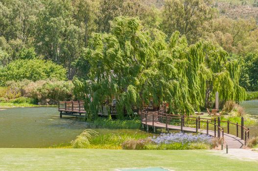 STELLENBOSCH, SOUTH AFRICA - DECEMBER 15, 2014:  Wine tasting on an island at the Oude Nectar farm near the Jonkershoek Nature Reserve