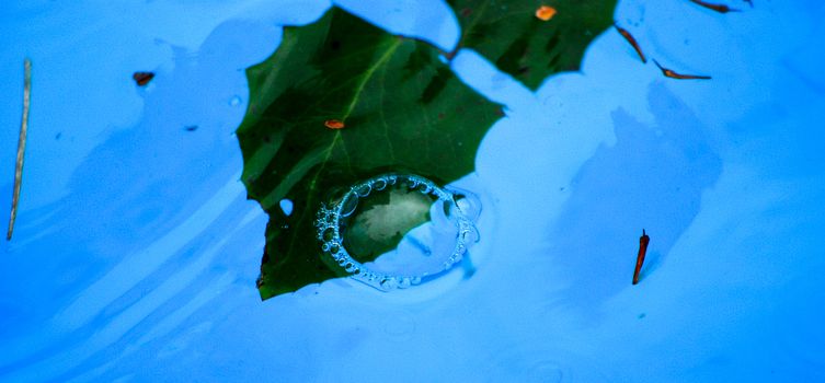 blue water bubbles,picture of a 