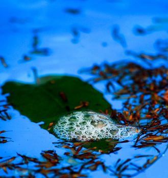 blue water bubbles,picture of a 