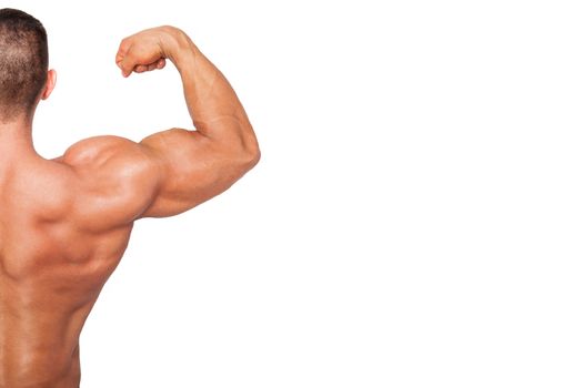 Bodybuilding background with copy space. Bodybuilder showing biceps isolated on white background. 