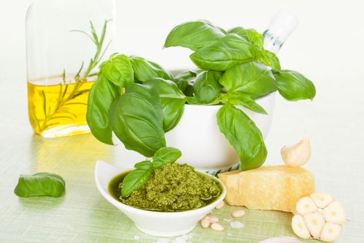 Traditional italian eating. Extra virgin olive oil, green pesto, parmigiano and fresh basil herbs on bright green background. Organic mediterranean eating. 