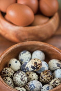 Fresh chicken eggs and quail eggs at wooden plate closeup