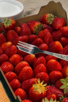 Box of freshly picked strawberries. Cultivated worldwide and consumed in large quantities, either fresh or in such prepared foods as preserves, fruit juice, pies, ice creams, milkshakes, and chocolates.