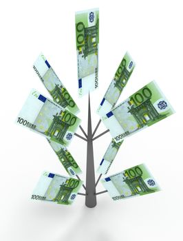 Money tree from euro banknotes. Business concepts