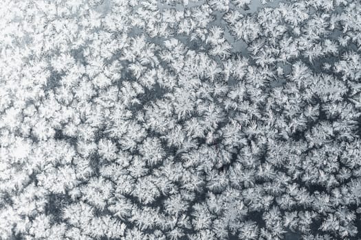 Snowflakes pattern or textrure background on frozen winter christmas siver or gray colored window. Selective focus with blur edges of image