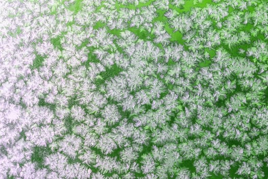 Snowflakes pattern or textrure background on frozen winter christmas green colored window. Selective focus with blur edges of image