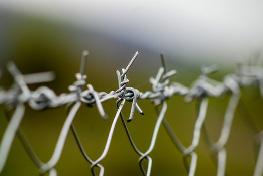 New barbed wire, picture of a 