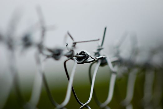 New barbed wire, picture of a 