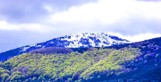 National park , Pelister in Macedonia, Baba mountain