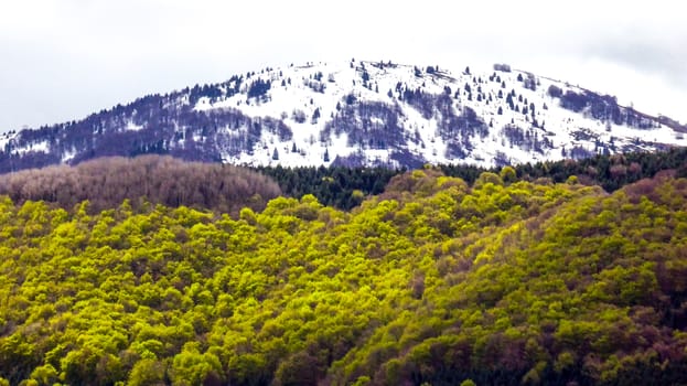 National park , Pelister in Macedonia, Baba mountain