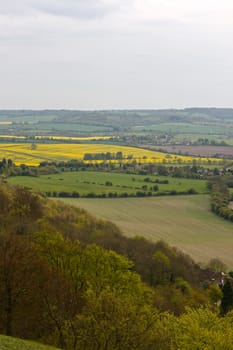 Chilterns landscape. View from Whiteleaf, Princess Risborough.
