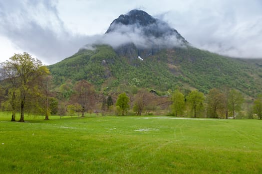 scenic landscapes of the northern Norwegian fjords in spring .