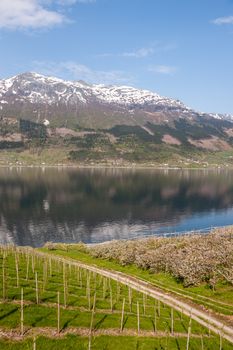 scenic landscapes of the northern Norwegian fjords in  spring .