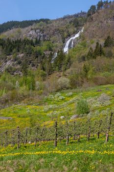 waterfall in Norway. mountain landscape in early spring