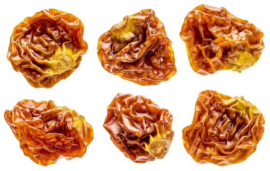 goldenberry superfruit from Peru - a set of six dried berries isolated with clipping paths