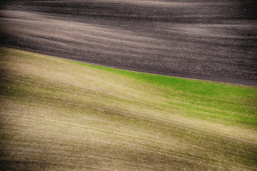 Grunge field waves background, South Moravia, Czech Republic