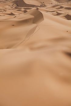 Dunes, colorful vibrant travel theme