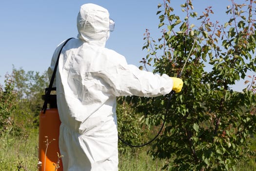 Fruit tree spraying